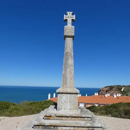 Palm Tree סאו מרטיניו דו פורטו