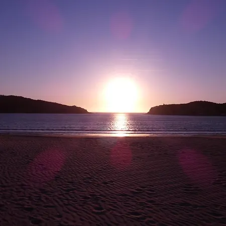 Palm Tree Lejlighed São Martinho do Porto