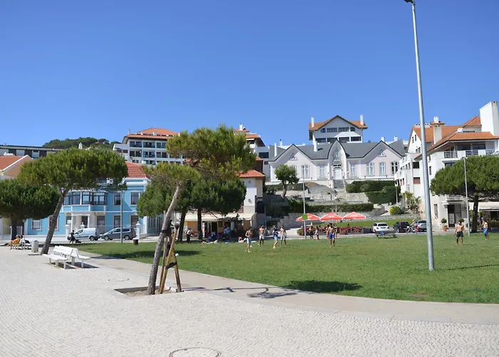 Palm Tree Apartamento