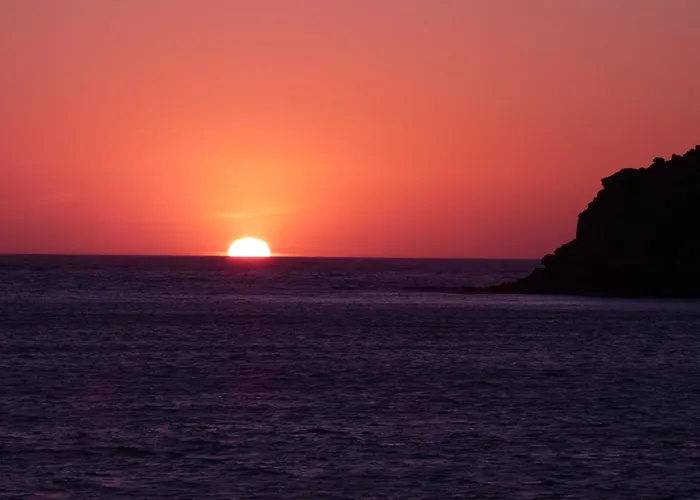 Apartamento Palm Tree *